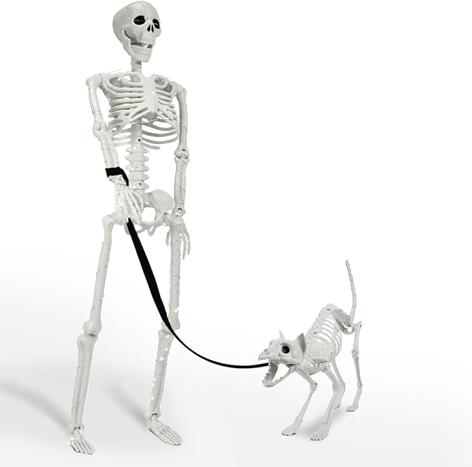 Lighted human and dog skeleton decorations for Halloween, 36 inch posable spooky decor for outdoor and indoor use.