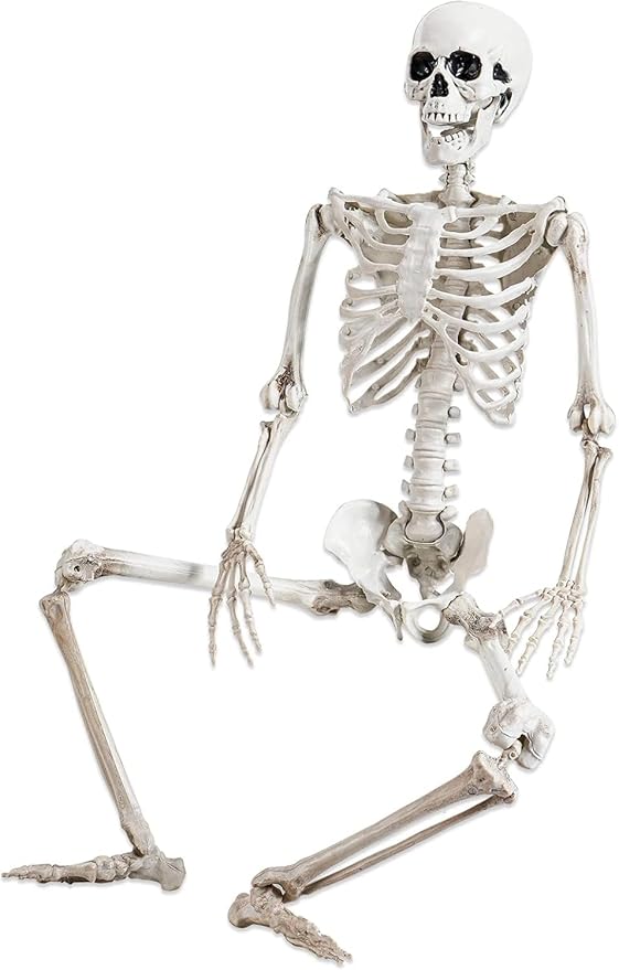 Halloween 36-inch skeleton decoration for haunted house and graveyard with movable human bones